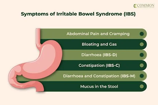 ibs irritable bowel syndrome　輸入盤　サイン入り ibs irritable bowel syndrome輸入盤サイン入り